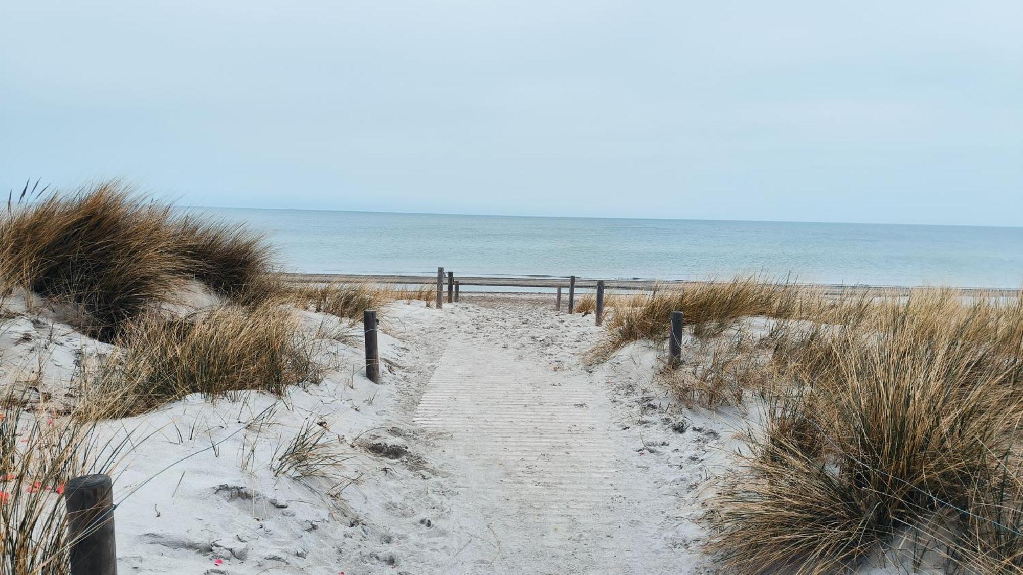 Ferienwohnung Ostseestern Rerik Mit Sauna Exteriör bild
